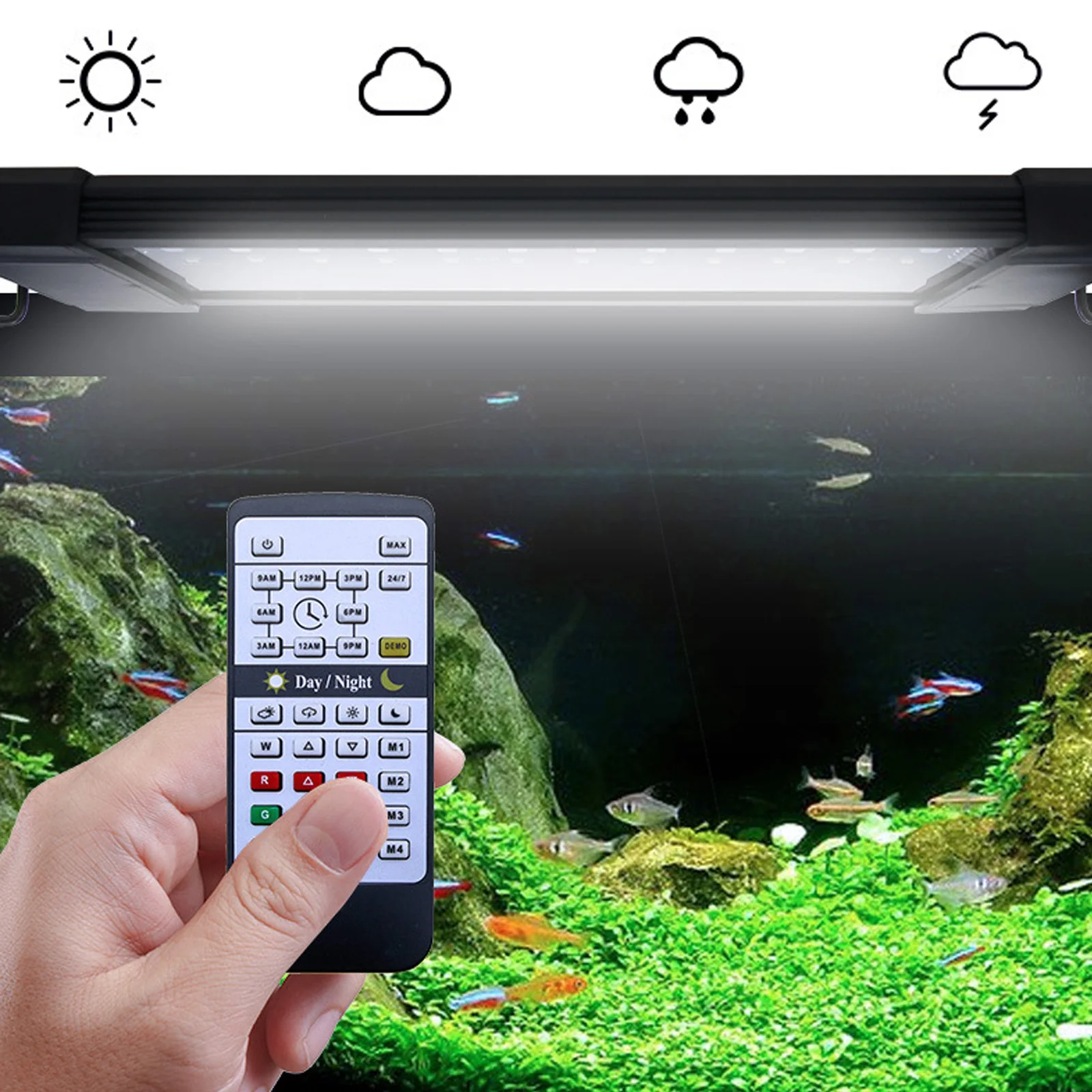 Liweida 24 Saat Doğal Işık Uza - Planted Aquarium Hours incelemesi ve fiyatı